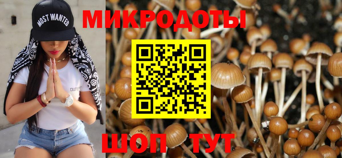 Галлюциногенные грибы GOLDEN TEACHER  Вход с VPN  Балашиха 